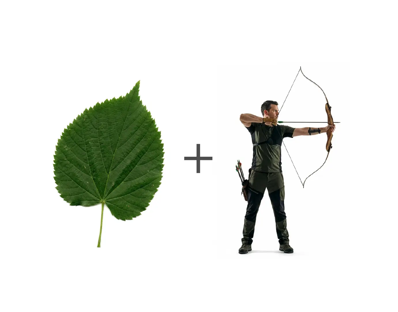 Dynamic Content Image